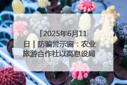2025年6月11日｜防骗警示窗：农业旅游合作社以高息设局，集资380万