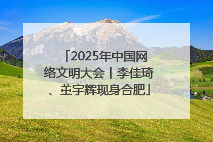 2025年中国网络文明大会丨李佳琦、董宇辉现身合肥