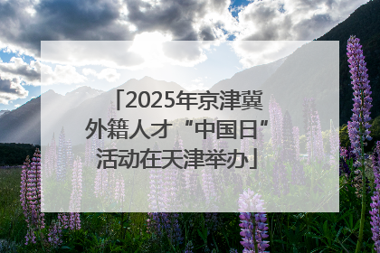 2025年京津冀外籍人才“中国日”活动在天津举办