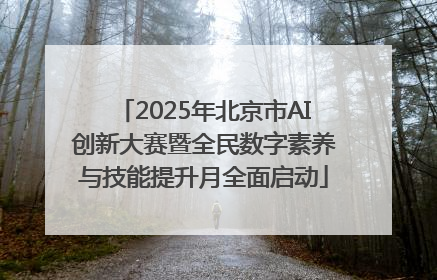 2025年北京市AI创新大赛暨全民数字素养与技能提升月全面启动