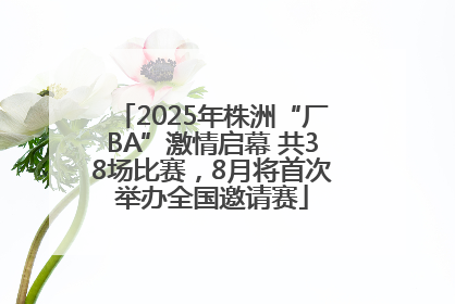 2025年株洲“厂BA”激情启幕 共38场比赛，8月将首次举办全国邀请赛