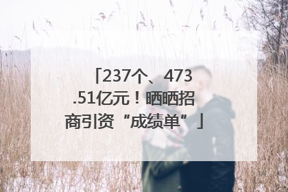 237个、473.51亿元！晒晒招商引资“成绩单”