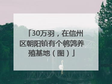 30万羽，在信州区朝阳镇有个鹌鹑养殖基地（图）