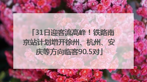 31日迎客流高峰！铁路南京站计划增开徐州、杭州、安庆等方向临客90.5对