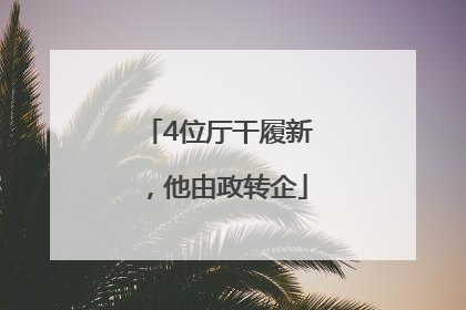 4位厅干履新，他由政转企