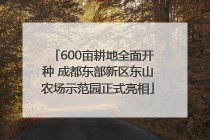 600亩耕地全面开种 成都东部新区东山农场示范园正式亮相