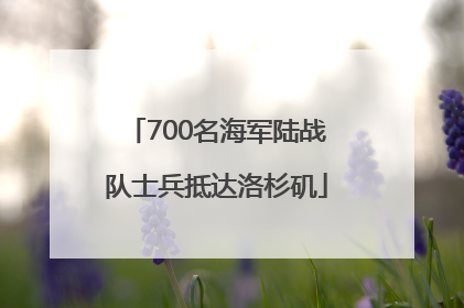 700名海军陆战队士兵抵达洛杉矶