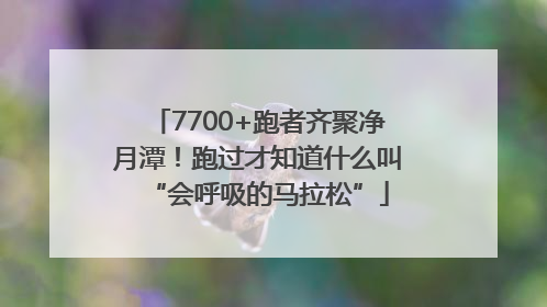 7700+跑者齐聚净月潭！跑过才知道什么叫“会呼吸的马拉松”