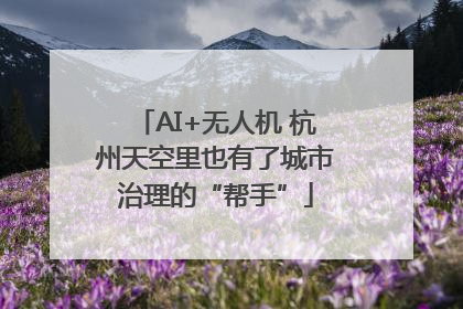 AI+无人机 杭州天空里也有了城市治理的“帮手”