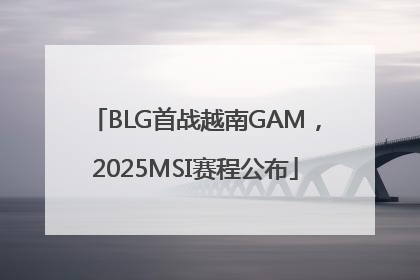 BLG首战越南GAM，2025MSI赛程公布