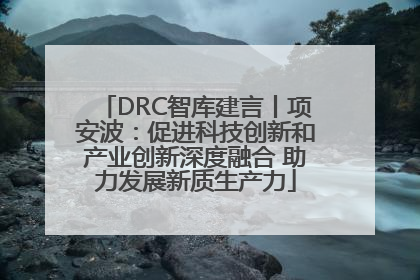 DRC智库建言丨项安波：促进科技创新和产业创新深度融合 助力发展新质生产力