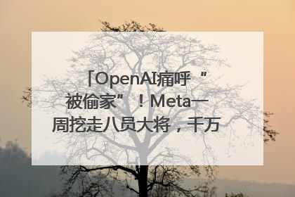OpenAI痛呼“被偷家”！Meta一周挖走八员大将，千万美元薪酬战开打